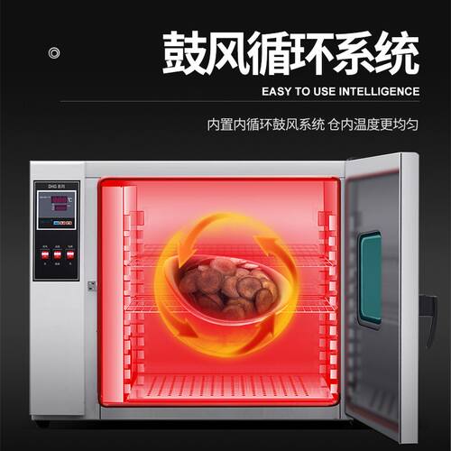 鼓风干燥箱实验室电热恒温箱烤箱小型烘干机高温烘干设备工业烘箱
