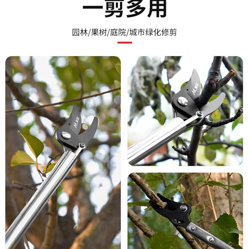 德国精工高枝剪伸缩高空剪树枝专用剪刀果树园艺剪加长sk5不锈钢