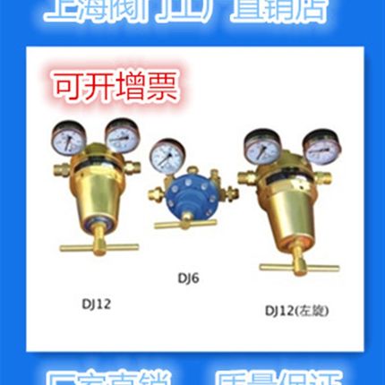 DJ6(OXY)预热氧减压阀  钢厂专用减压阀