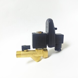 RPT RPT高压电子排水阀器AC220V DN15 日益RYZDH