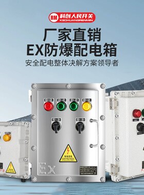 人民水泵防爆控制箱接线开关控制箱配电箱电机控制柜380V一用一备