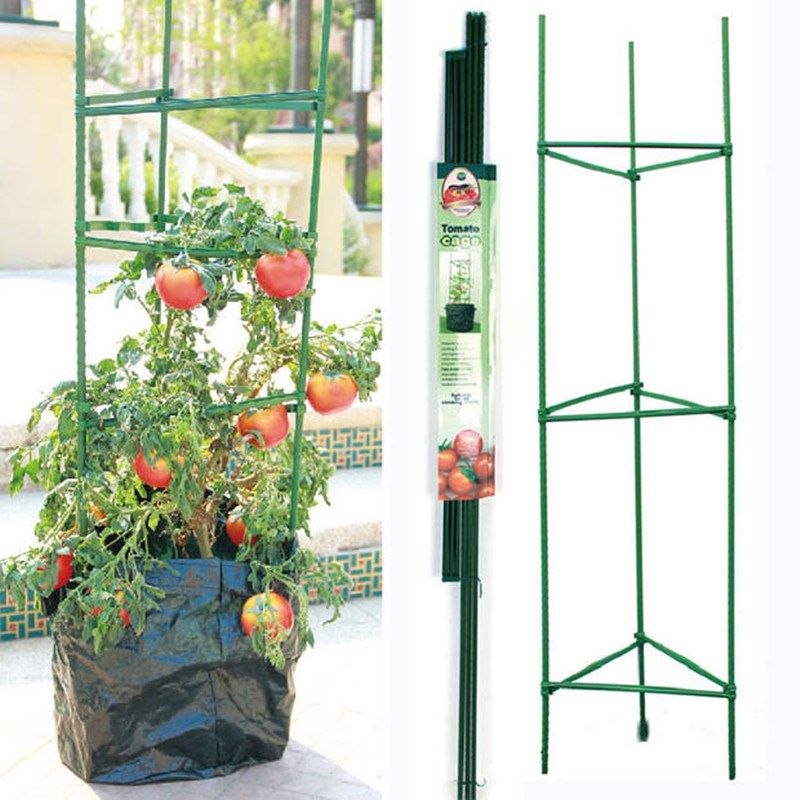 西红柿番茄攀爬支架黄瓜架爬藤植物支架茄子架豆角种菜架支柱园艺,鲜花速递/花卉仿真/绿植园艺,花架,淘宝优惠券,粉丝福利购,淘宝优惠卷