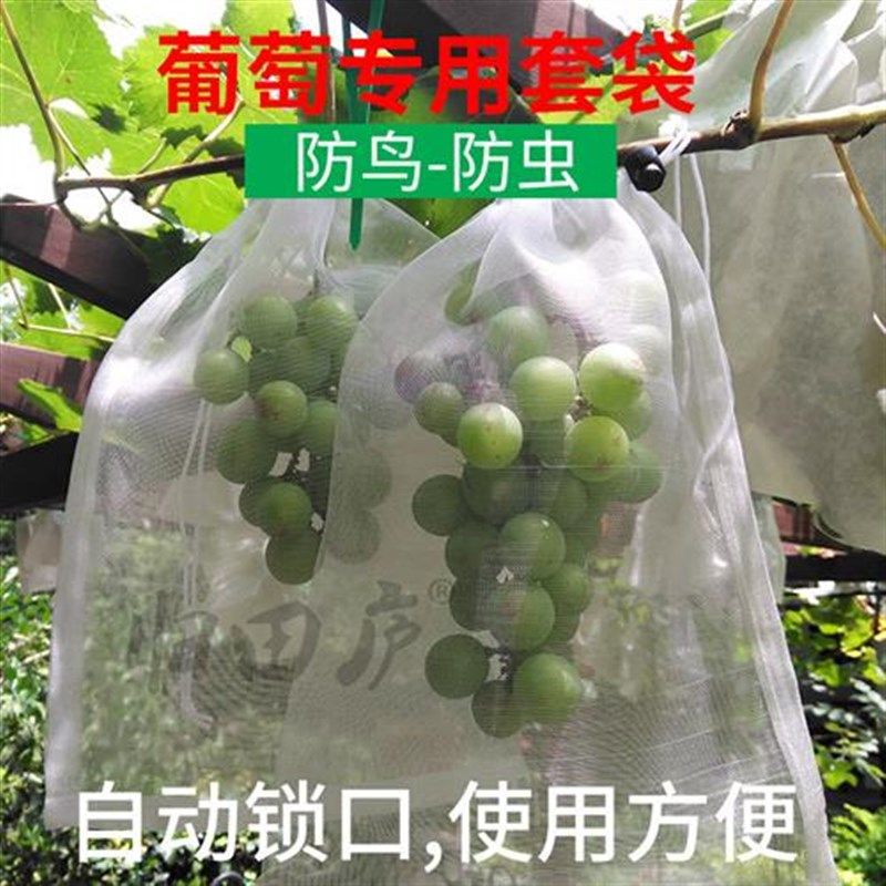 葡萄套袋专用袋防鸟防虫楼顶庭院葡萄袋子透光透气尼龙网袋绳扣款,鲜花速递/花卉仿真/绿植园艺,其它园艺用品,淘宝优惠券,粉丝福利购,淘宝优惠卷