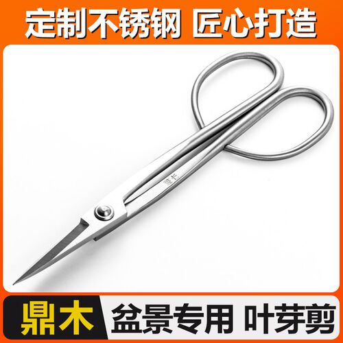盆景修剪造型专用工具叶芽剪不锈钢兰花分苗剪刀修芽剪修枝芽切剪