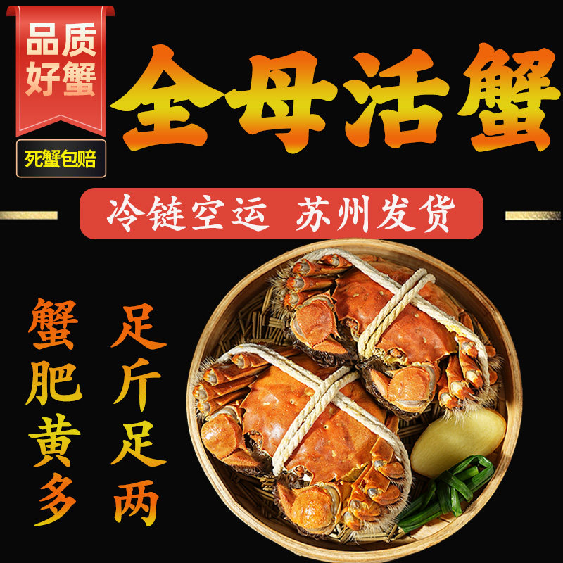 精品大闸蟹鲜活大螃蟹全母