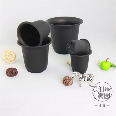 矮胖万象盆景天仙人掌多肉植物黑色塑料磨砂盆5种规格爱仙满园