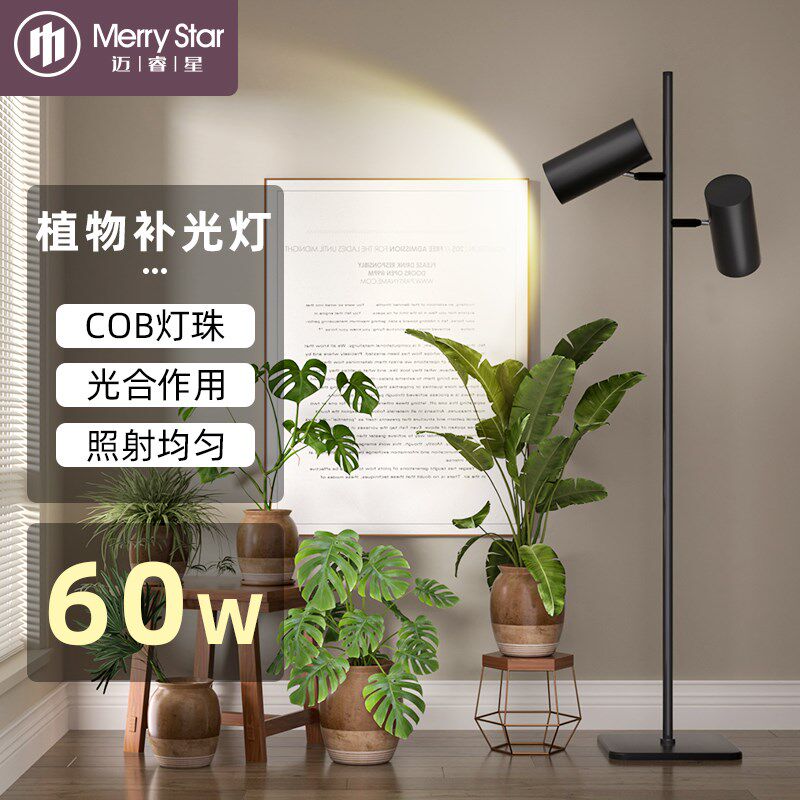 迈睿星落地植物灯生长灯上色全光谱室内K热植绿植阳光多肉补光灯