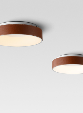 现代简约 eled吸顶灯北欧个性客厅卧室灯餐厅过道阳台皮革节能灯