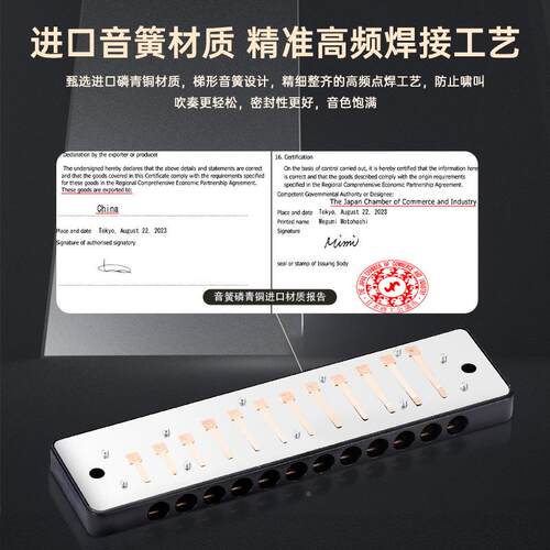2孔全音阶口琴带FaL乐a布斯口琴入门MVF初学专业1鲁演奏器