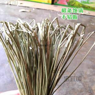 咸HJY水草 包粽子草绳香草草扎粽子草 草粽绳水绑蟹大闸蟹绳捆螃