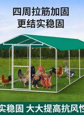 户鸽外鸡棚笼子养鸡鸭笼鸡家禽大型孔雀FEV篷雨鸡舍遮搭建家用养