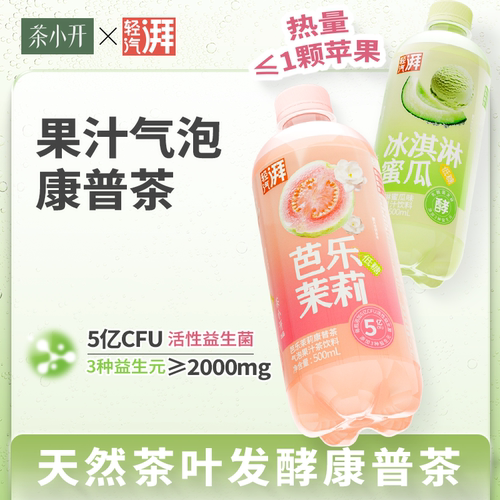 果汁气泡康普茶多种益生元