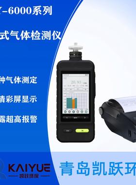 甲醛CH2O气体含量测定仪 KYS-6000型泵吸式甲醛检测仪