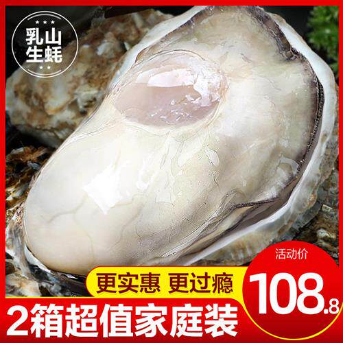 乳山生蚝鲜活10斤特大带箱新鲜海蛎子超大牡蛎海鲜水产5斤2箱