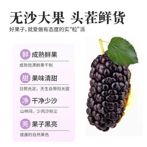 桑葚枸杞茶泡茶专用男肾桑葚菊花龙眼肉红枣桂圆组合泡水喝养生茶