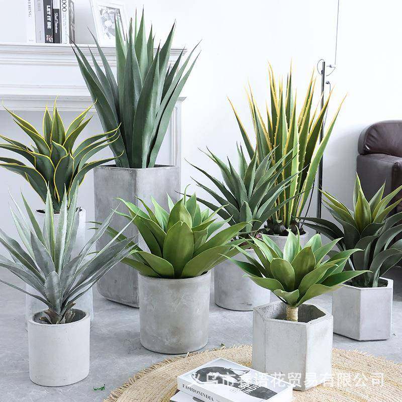 仿真绿植景剑大叶剑沙漠植DQT物热带橱盆窗造麻景兰装饰假植物现,鲜花速递/花卉仿真/绿植园艺,仿真绿植,淘宝优惠券,粉丝福利购,淘宝优惠卷
