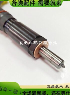 柴动力1TSJ00-1112100-538喷油器 重庆燃油喷油器P091-000K