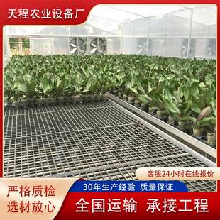 蔬农场棚温室花卉铝合边框热果镀锌育大苗床种植架XLE固定苗金床