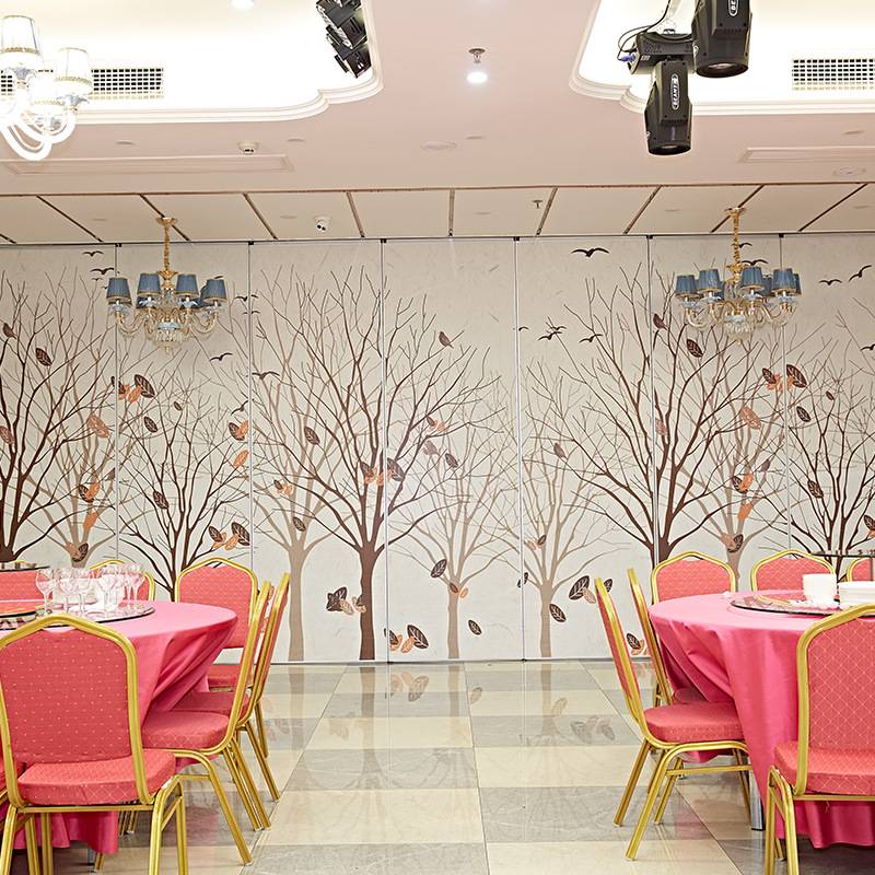 办公室移动屏风酒店隔断移门舞蹈室活动隔断墙推拉式折叠门