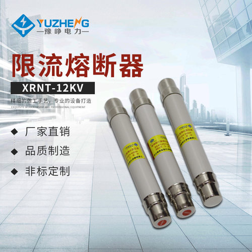 高压限流熔断器熔断器XRNT1-12KV/0.5~50A豫峥厂家销售