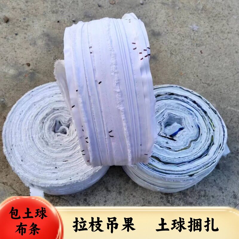 云南供花草树木栽移缠土球布条  包树根布绳拉枝吊果细布带