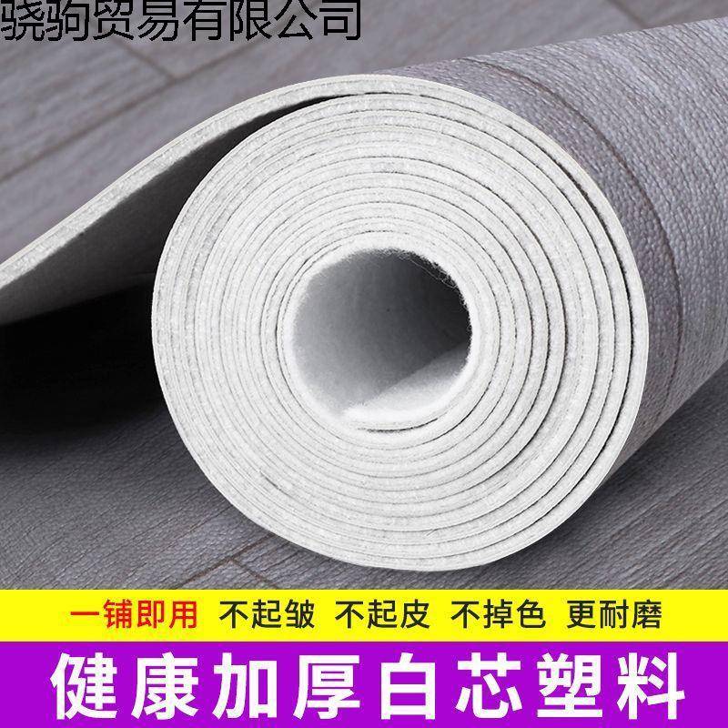 加厚地GEO毯地革水泥地接铺家直面用地铺垫卧室防板水地垫大面积