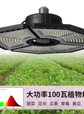 生长植灯反补季蔬菜瓜果光灯大棚HUE温室物种植折叠全光谱植物灯l