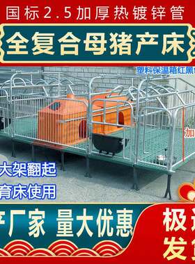 母猪产床设备保育两用猪分娩床限位栏仔猪栏漏粪板猪用养猪场设备