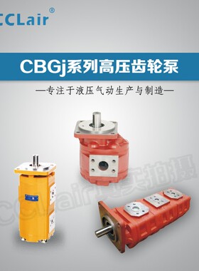 双联齿轮泵CBGJ1020/1010,2025/2032,CBGJ3100/3125,3160/1016