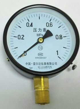 中国雷尔达仪表有限公司压力表 Y-100 0~1mpa 直径100mm m20x1.5