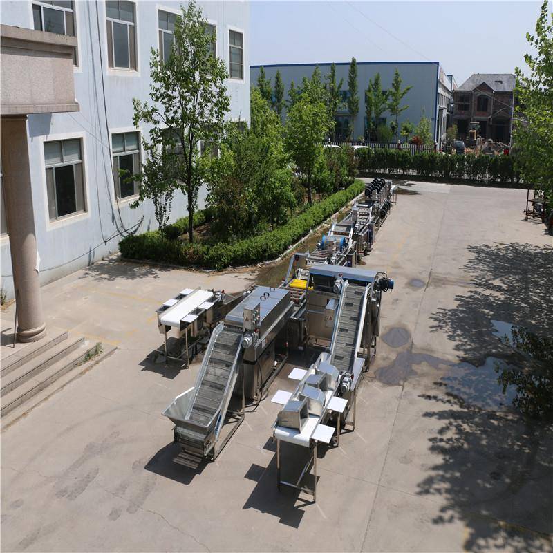 厂家供应净菜配送加工设备商用蔬菜清洗机免费安装调试耐用