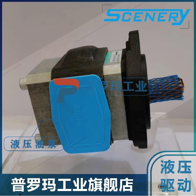 SCENERY塞纳瑞齿轮泵SNCB2/SNCB2A-06/08/11/13/19/22/25-1R-S12