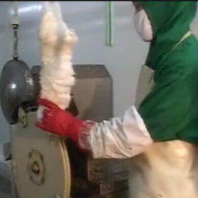 供应兔腿切割机肉兔屠宰线兔爪自动切割设备