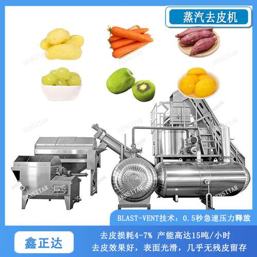 鑫正达马铃薯山蒸汽脱皮机葡萄黄桃去皮设备