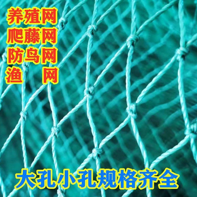 进口材质养鸡网养殖网尼龙网拦鸡网围鸡网家禽塑料网护栏网菜园围,搬运/仓储/物流设备,其他起重搬运设备,淘宝优惠券,粉丝福利购,淘宝优惠卷