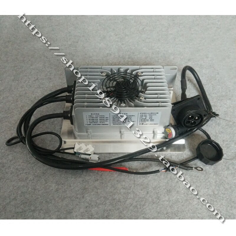 时风电动汽车轿车D101D102充电器前驱后驱车载充电器60V30A带插座