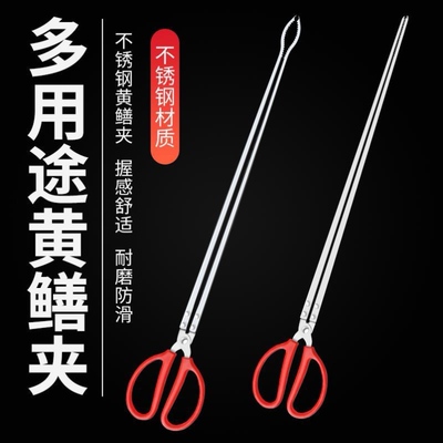 长嘴夹钳不锈钢黄鳝夹子赶海工具鳝鱼专用捕抓螃蟹捉泥鳅钳子神器