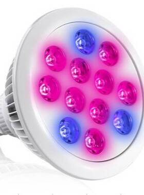 高亮度植物灯 12LED红光620-660nm蓝光450nm 6:3:3波长植物补光灯