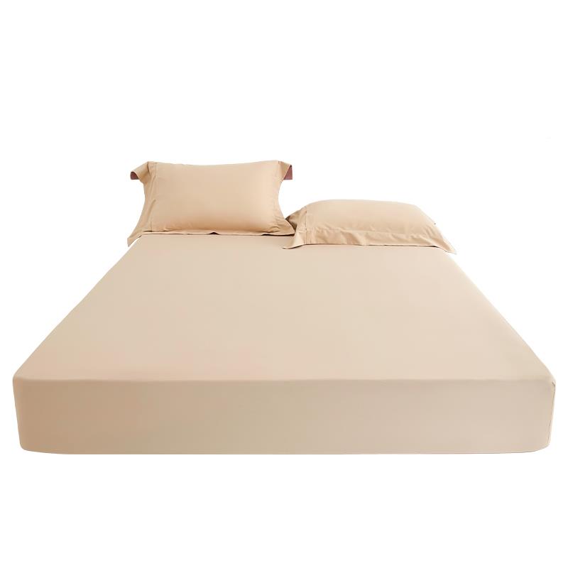 A类2025新款磨毛件床笠罩单纯棉加厚冬年款感三F769S8JS件套定 制