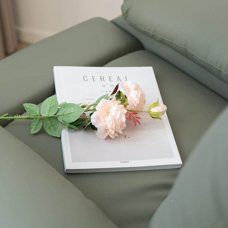 跨境太空舱多YS-X-601功能发舱沙沙家单用躺椅可睡可躺懒人沙发人