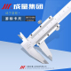 100 200 1000 成量游标卡尺0 1500mm高精度 600 150 500 正品 300