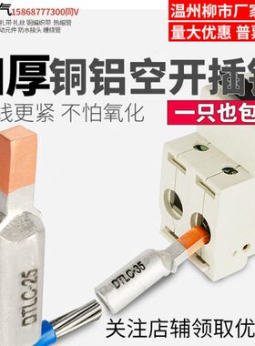 DTLC断路器 c45空气开关专用标准铜铝插针鸭嘴型接线鼻子16/25/25