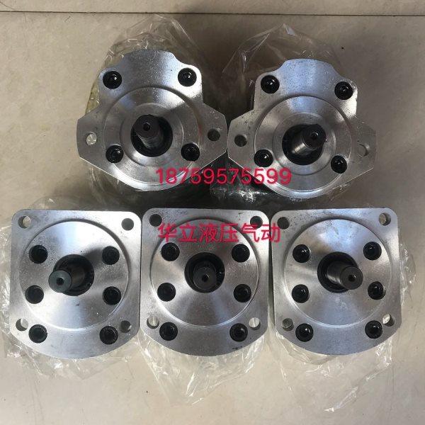 CBF-F420AL HENG TIAN齿轮泵 石材机齿轮油泵 CBF-F432AL,五金/工具,其他液压工具,淘宝优惠券,粉丝福利购,淘宝优惠卷