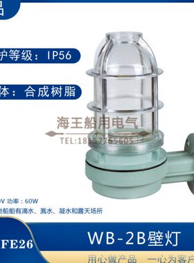 船用塑料白炽壁灯WB-2B壁式安装220V60W合成树脂防水灯机炉舱灯