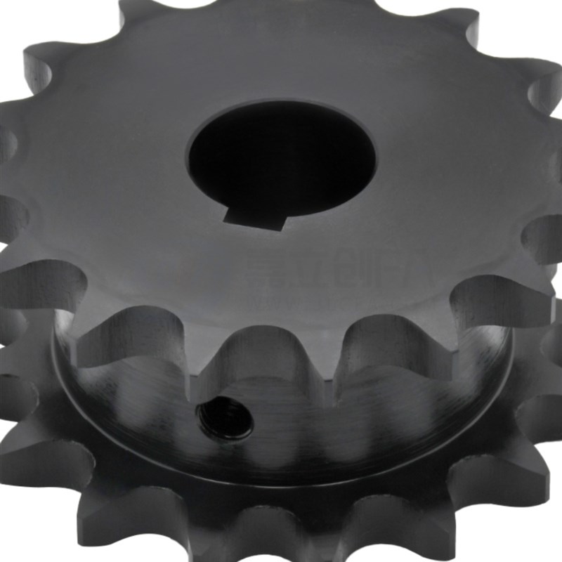 50系列链轮双排链轮 VLR11-50-12 13 1G4 15 16 17 40定做工业链