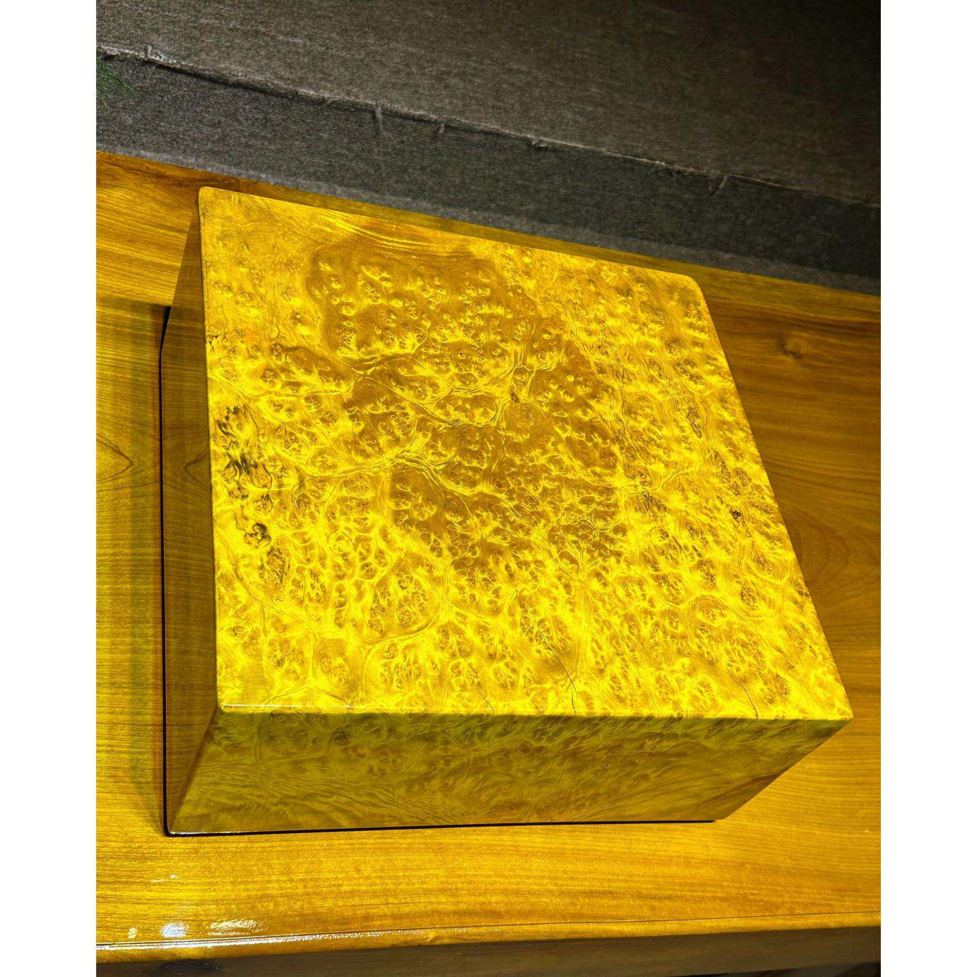 黄金樟爆满树瘤 树瘤密集 收藏级品质 瘿木料 山香果木树瘤料金砖