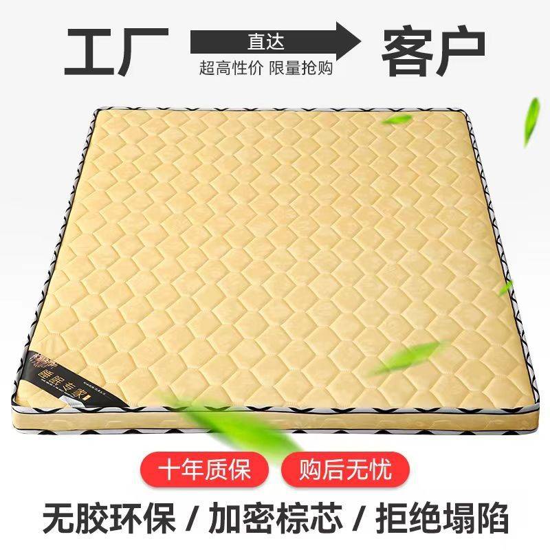 棕垫环保椰棕床垫双人1.5米加厚1.8m软硬棕榈席梦思薄款儿童折叠
