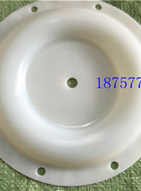 马拉松气动隔膜泵配件M20B1ANNABS000特氟龙膜片286-020-604