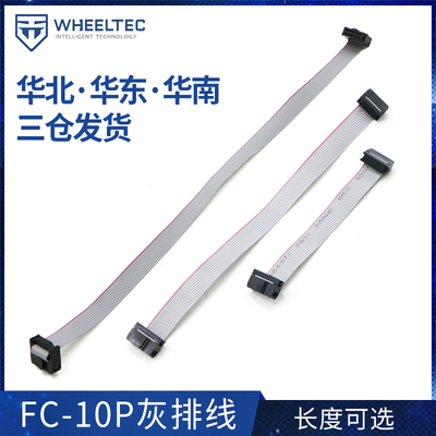 灰排线 FC-10P双头线 电缆AVR连接线  10CM 20CM 30CM 间距2.54