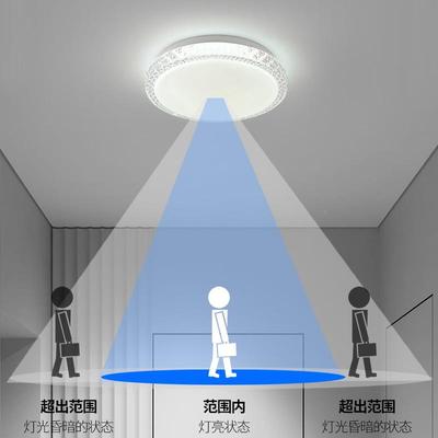 l灯ed人体感灯雷达楼道走梯道过道灯光控吸顶灯入户玄应关DX790走